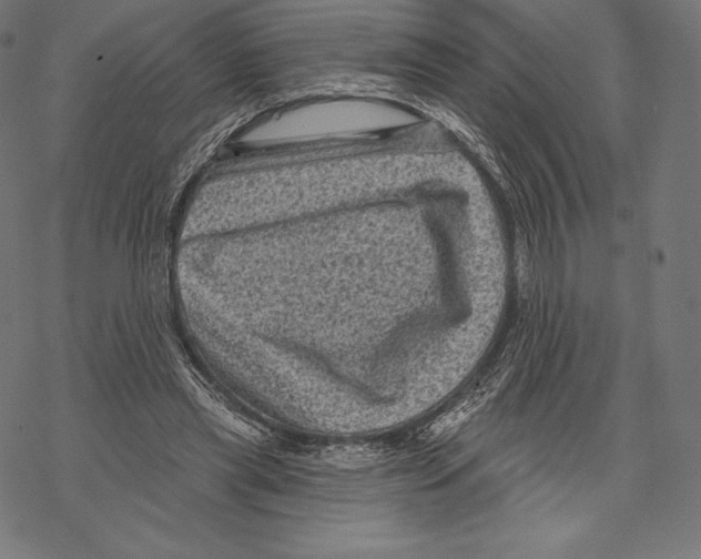 X0000067860445200605111738