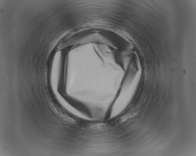 X0000067860446200605111738