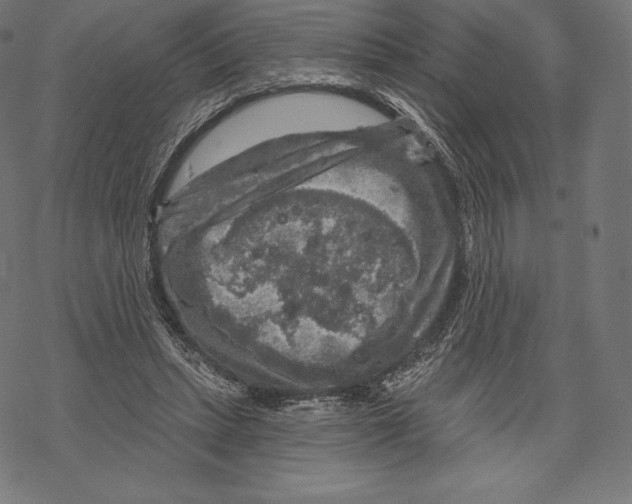 X0000067860447200605111738