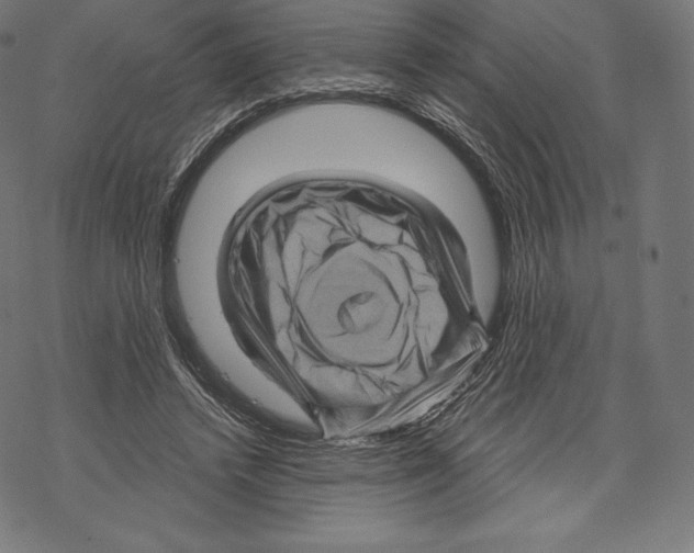 X0000067860448200605111738