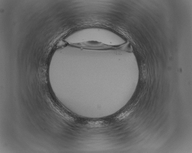 X0000067860450200605111738