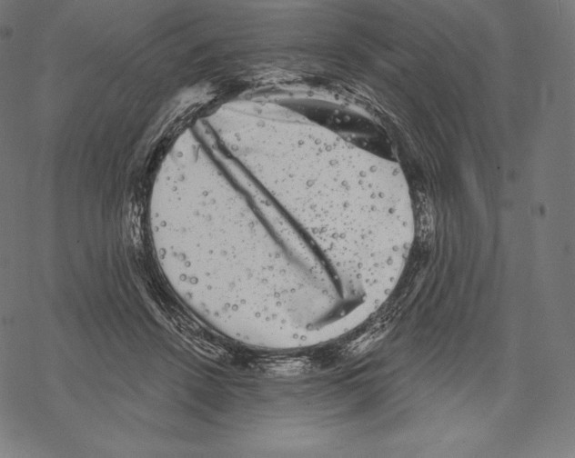 X0000067860456200605111738