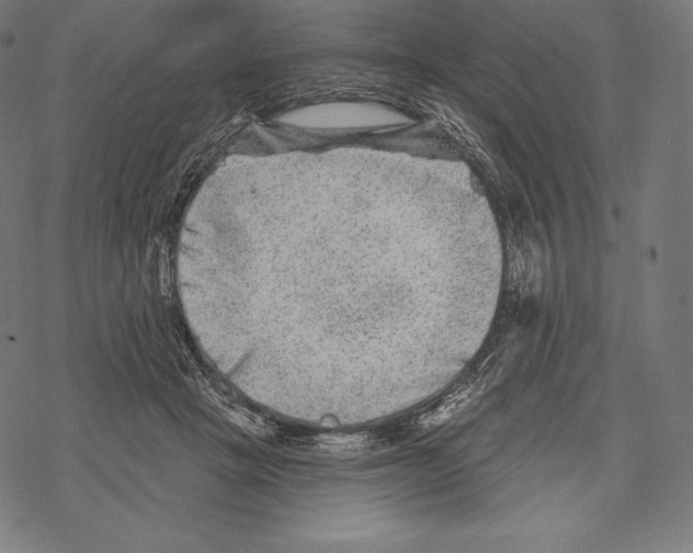X0000067860457200605111738