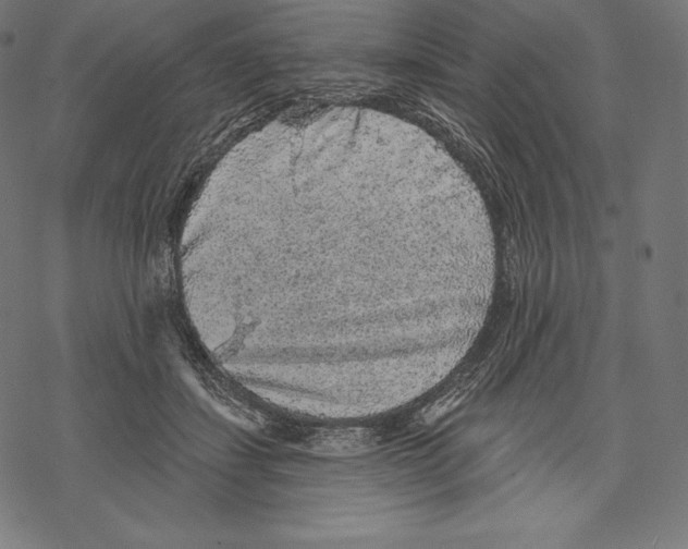 X0000067860459200605111738