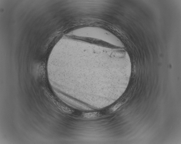 X0000067860461200605111738