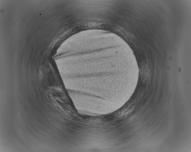 X0000067860462200605111738