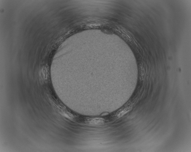 X0000067860463200605111738