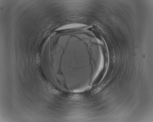 X0000067860467200605111738