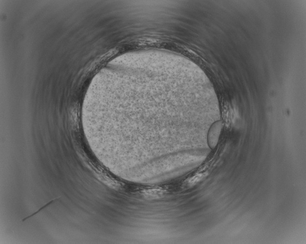 X0000067860468200605111738