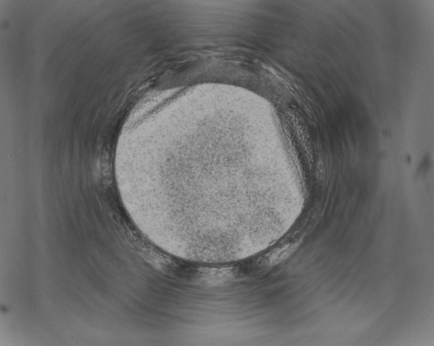 X0000067860469200605111738