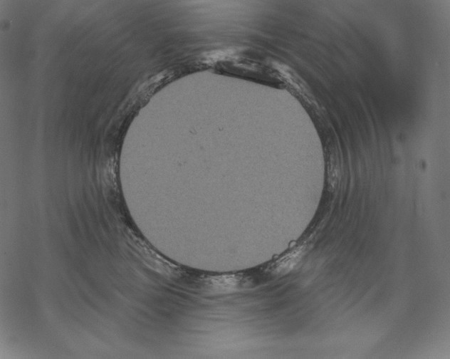 X0000067860473200605111738