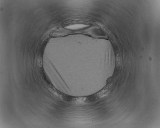 X0000067860474200605111738