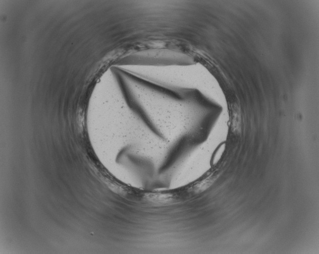 X0000067860476200605111738