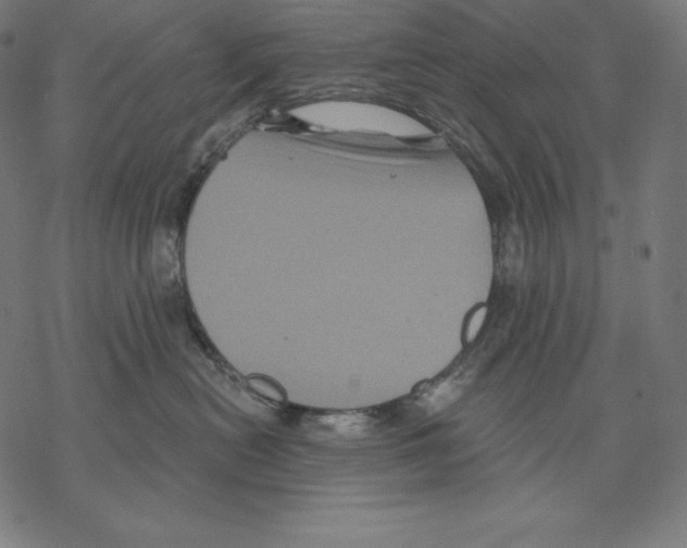 X0000067860478200605111738