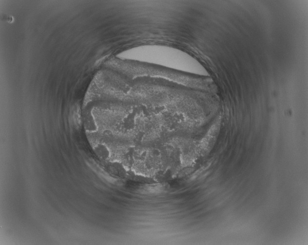 X0000067860479200605111738