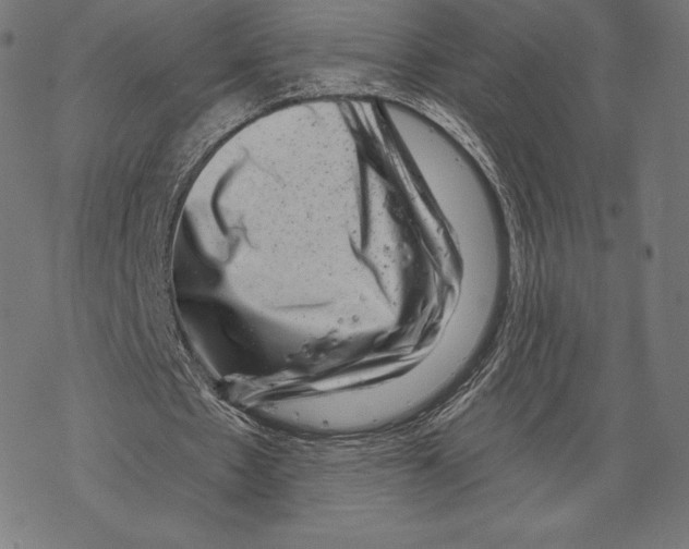 X0000067860481200605111738