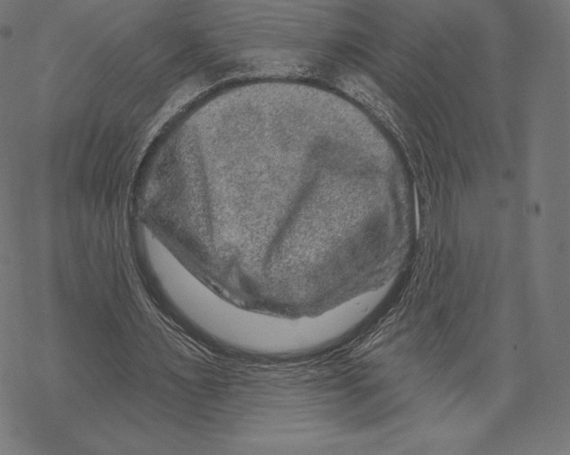 X0000067860483200605111738