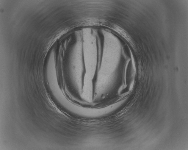 X0000067860485200605111738
