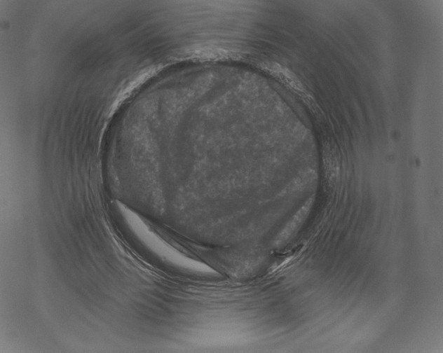 X0000067860488200605111737