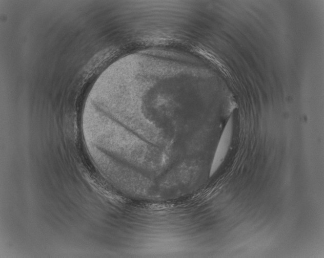 X0000067860494200605111737