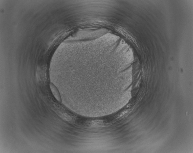 X0000067860501200605111737