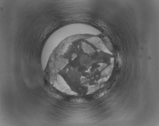 X0000067860503200605111737