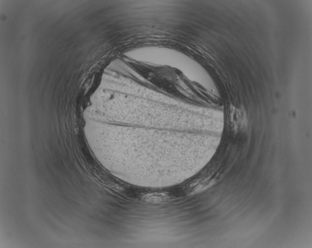 X0000067860508200605111737