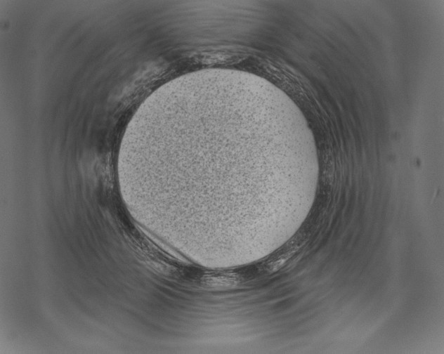 X0000067860510200605111737