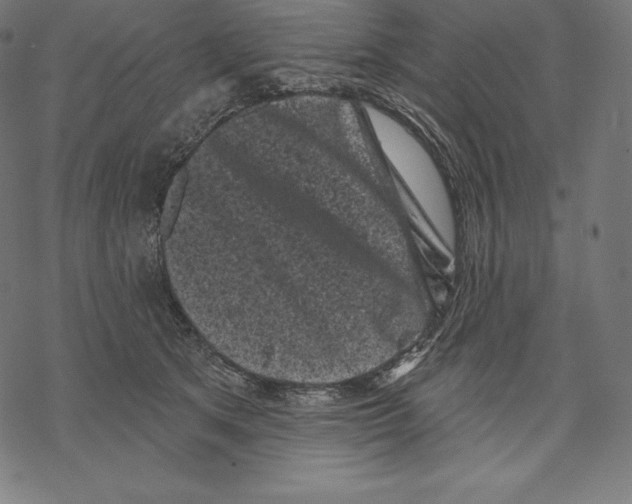 X0000067860513200605111737