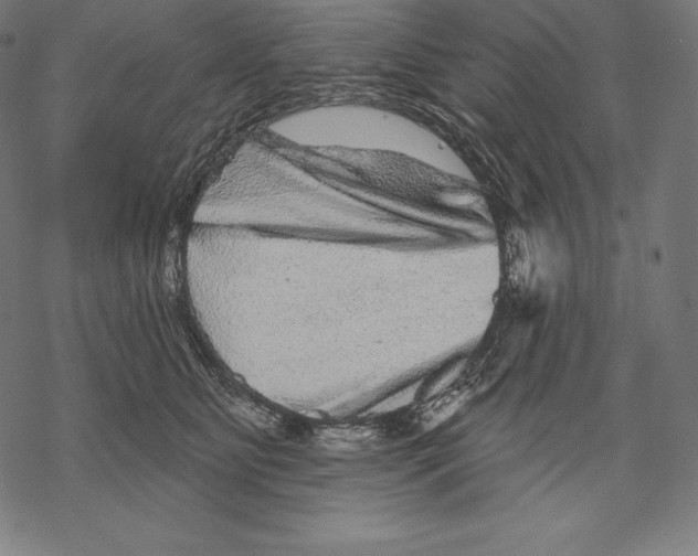X0000067860515200605111737