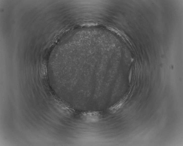 X0000067860517200605111737