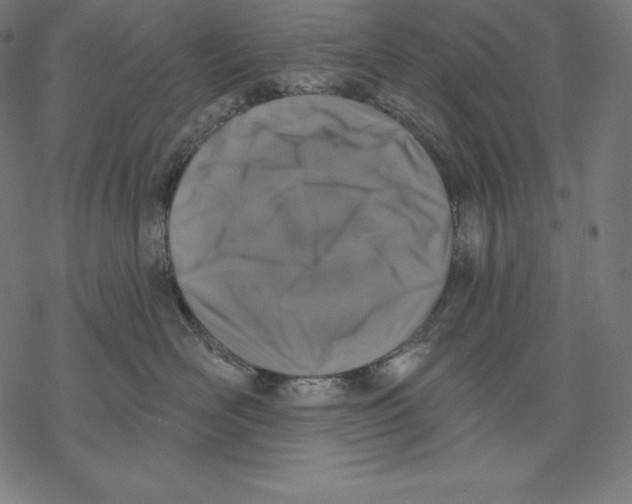 X0000067860526200605111737