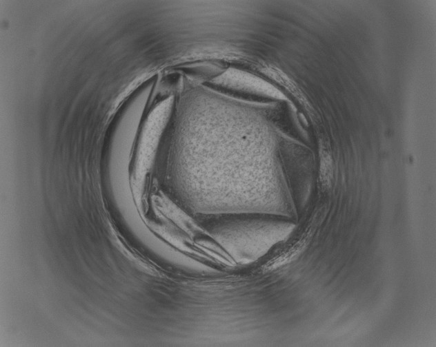 X0000067860530200605111736