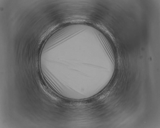 X0000067860533200605111736