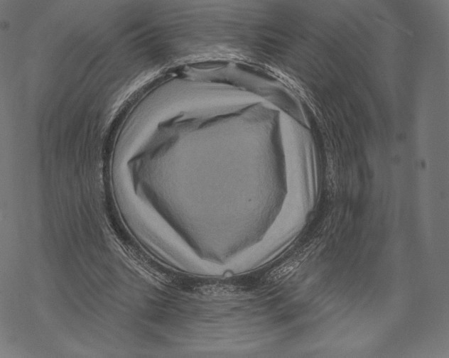 X0000067860535200605111736