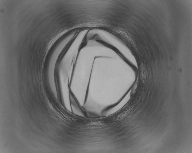 X0000067860536200605111736