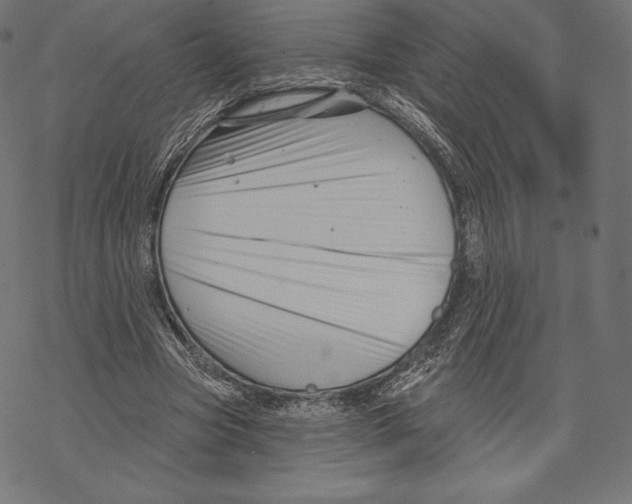 X0000067860537200605111736