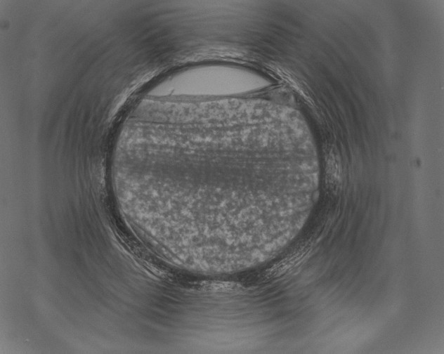 X0000067860539200605111736