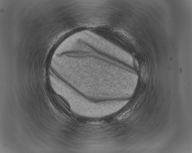 X0000067860540200605111736