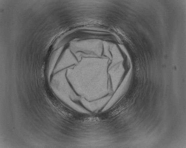 X0000067860543200605111736