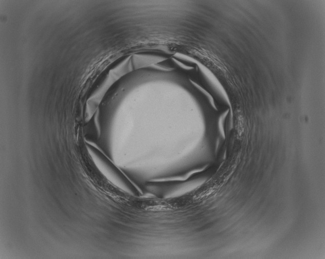 X0000067860544200605111736
