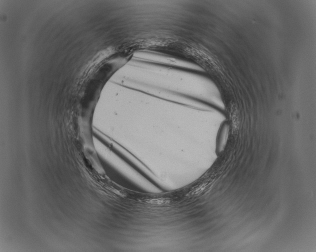 X0000067860546200605111736