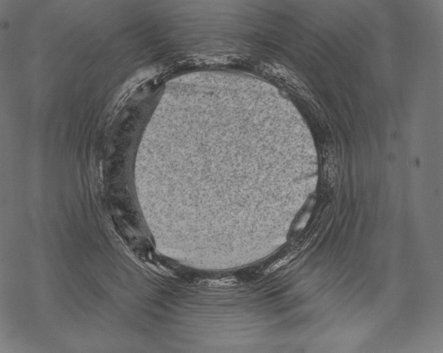 X0000067860548200605111736