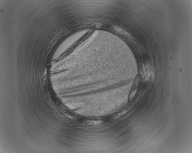 X0000067860552200605111736