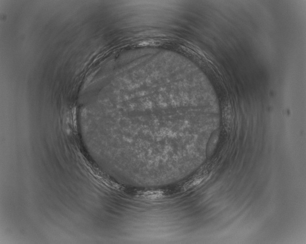 X0000067860554200605111736
