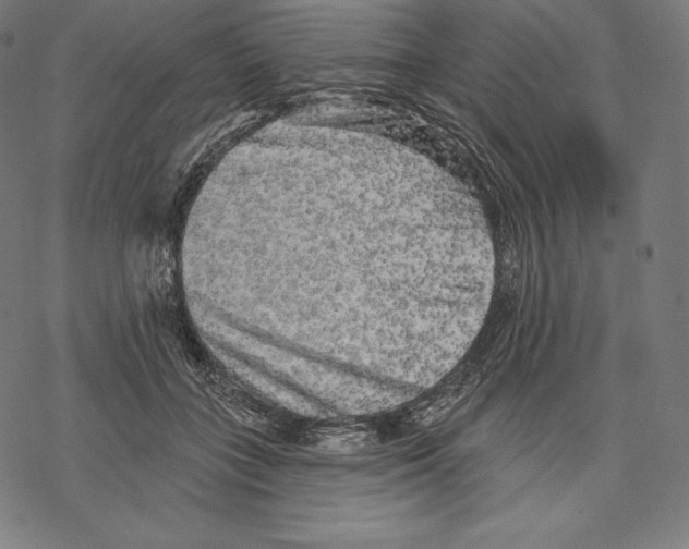 X0000067860555200605111736