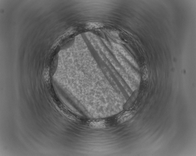 X0000067860560200605111737