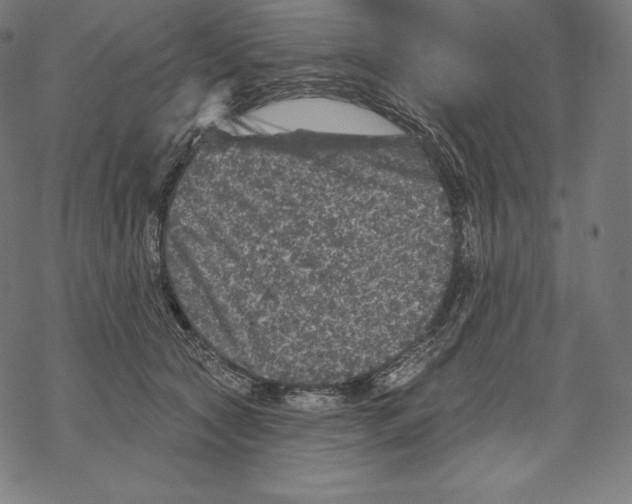 X0000067860561200605111737