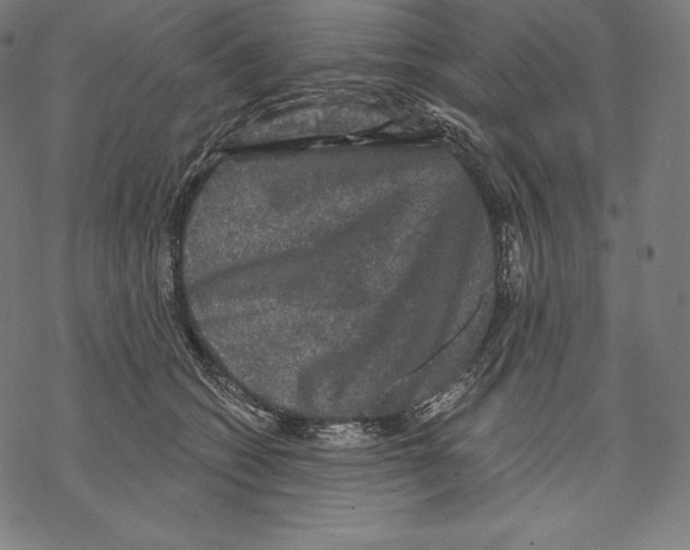 X0000067860562200605111737