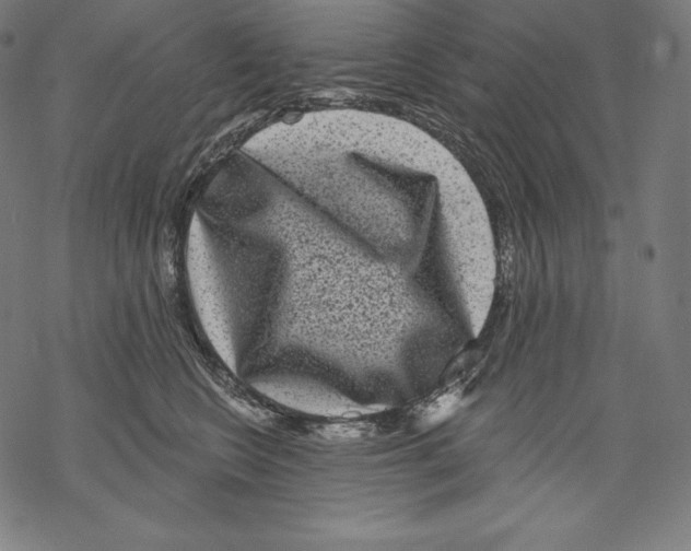 X0000067860566200605111737